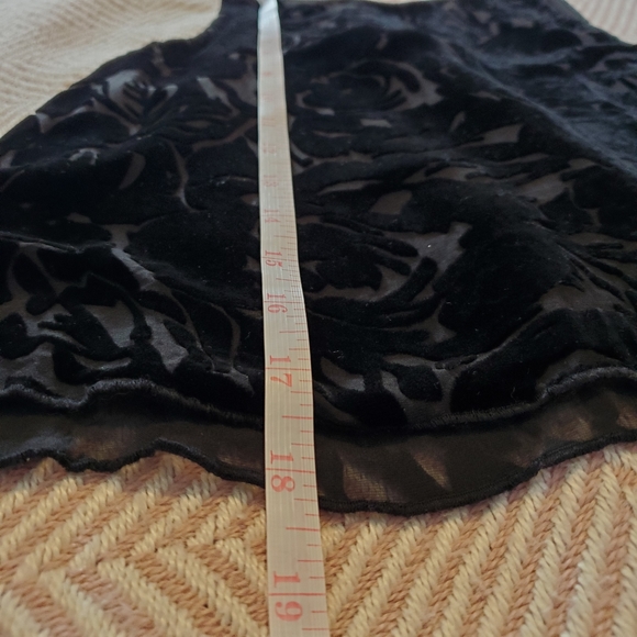 Aritzia - Wilfred Silk Velvet Floral Detail Tank - Picture 7 of 7